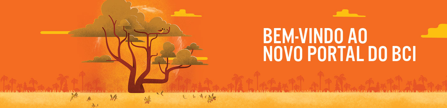 Bem vindo ao Novo Portal do BCI